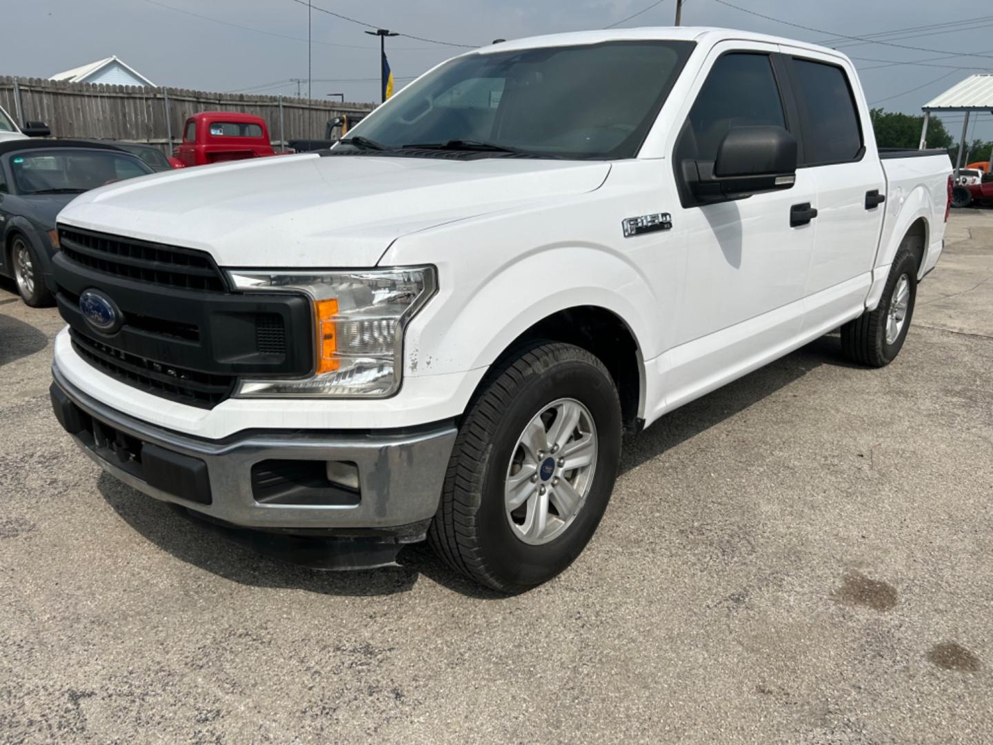 2019 White Ford F-150 (1FTEW1C55KK) with an 5.0L V8 F DOHC 32V engine, Automatic transmission, located at 1687 Business 35 S, New Braunfels, TX, 78130, (830) 625-7159, 29.655487, -98.051491 - Photo#0